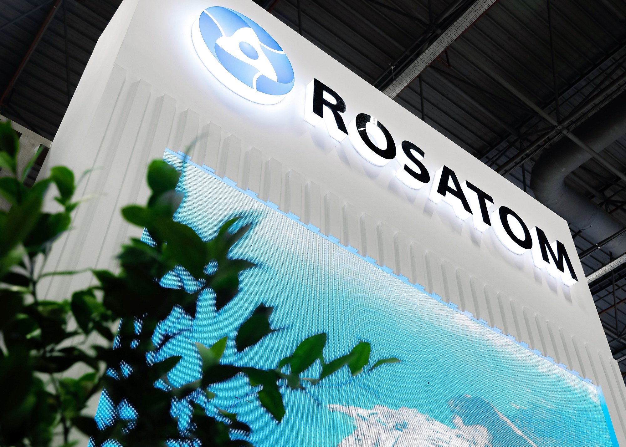 Boris Muzrukov State Atomic Energy Corporation "Rosatom"