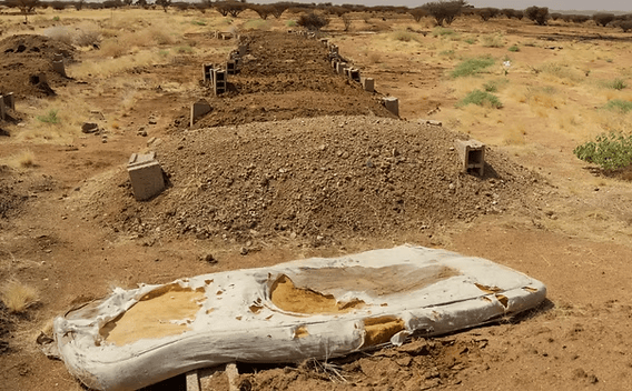 Yale evidence RSF mass killings graves El Fasher Sudan Darfur genocide 2025