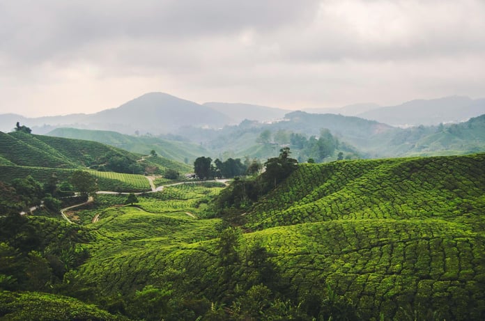 Indian Travellers Turn to Offbeat Domestic Destinations Amid Global Uncertainty and Rising Travel Costs