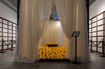 Bound volumes of the Epstein files at the Trump-Epstein Memorial Reading Room in Tribeca New York