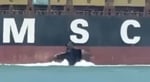 Damage to the hull of MSC Sariska V container ship after explosion in the Arabian Gulf near Umm Qasr Iraq