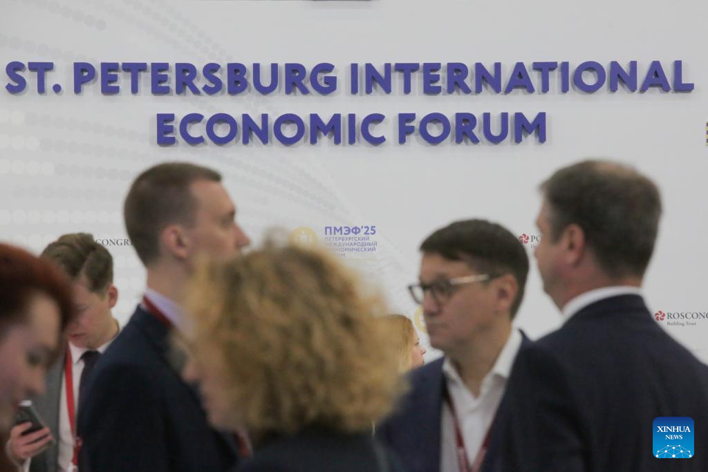 Delegates at the St. Petersburg International Economic Forum where Russia held talks on Ukraine peace process